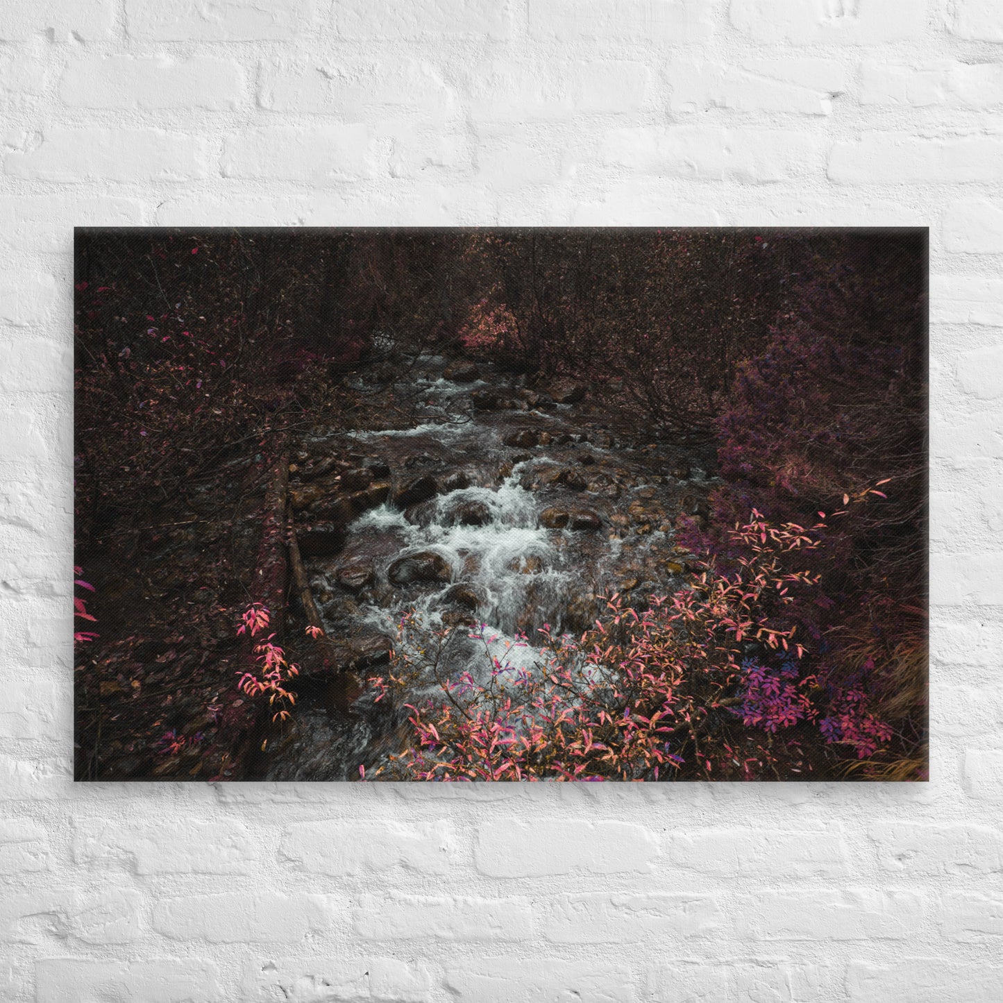 Enchanted Brook